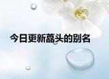 今日更新藠頭的別名