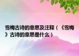 雪梅古詩的意思及注釋（《雪梅》古詩的意思是什么）