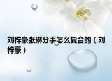 劉梓豪張琳分手怎么復(fù)合的（劉梓豪）