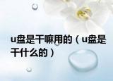 u盤是干嘛用的（u盤是干什么的）