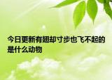 今日更新有翅卻寸步也飛不起的是什么動物