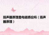 揚(yáng)聲器原理是電磁感應(yīng)嗎（揚(yáng)聲器原理）