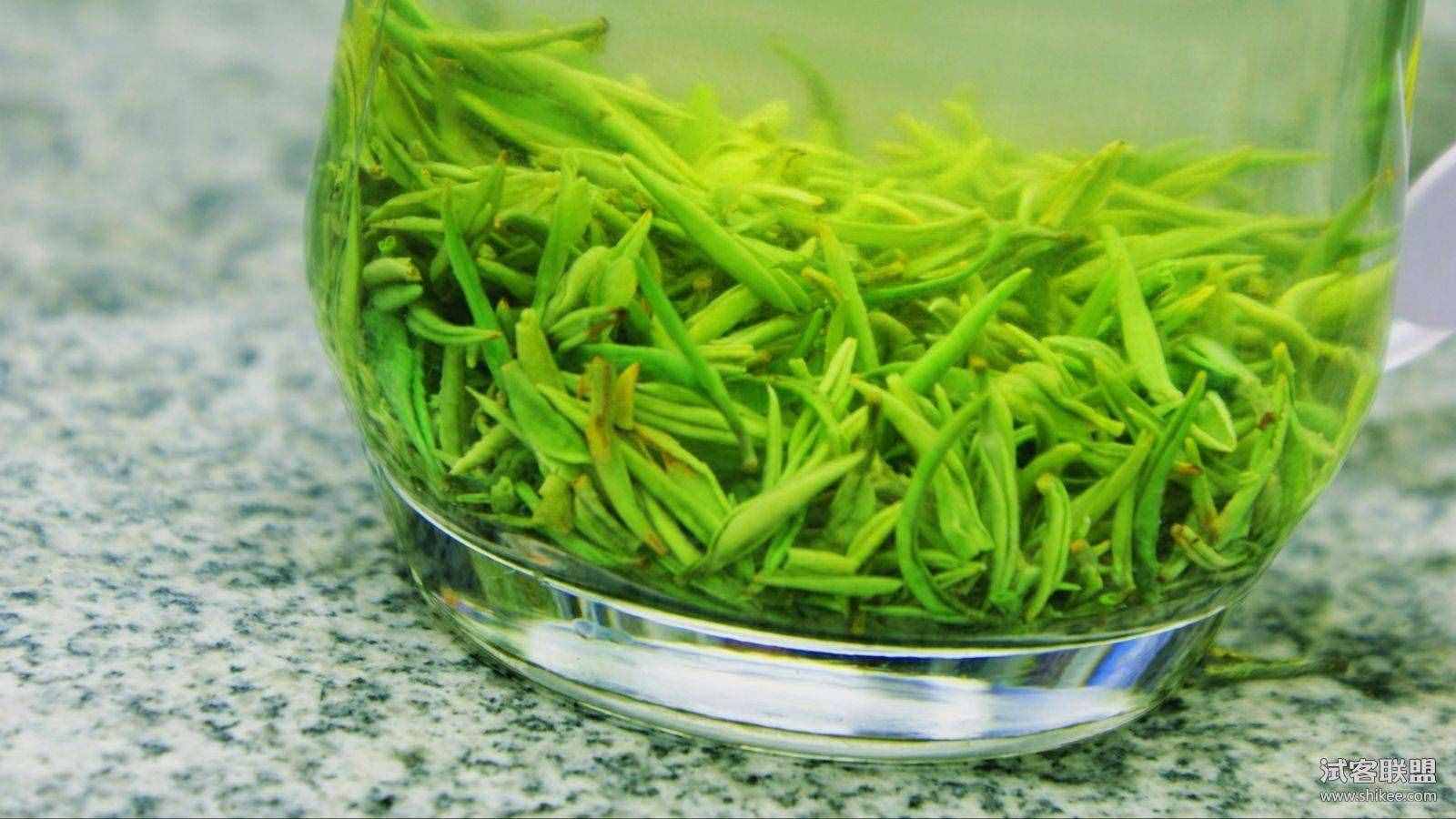 信陽毛尖怎么泡才好喝？