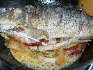 紅燒鯉魚的做法,紅燒鯉魚的家常做法