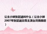 公主小妹張韶涵叫什么（公主小妹 2007年張韶涵吳尊主演臺灣偶像?。? /></span></a>
                        <h2><a href=