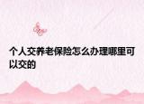 個(gè)人交養(yǎng)老保險(xiǎn)怎么辦理哪里可以交的
