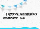 一個(gè)月交250社保退休能領(lǐng)多少退休金養(yǎng)老金一樣嗎