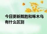 今日更新戴勝和啄木鳥(niǎo)有什么區(qū)別