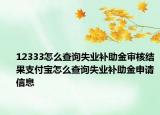 12333怎么查詢失業(yè)補(bǔ)助金審核結(jié)果支付寶怎么查詢失業(yè)補(bǔ)助金申請(qǐng)信息