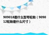 909018是什么型號(hào)輪胎（909012輪胎是什么尺寸）