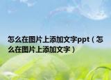 怎么在圖片上添加文字ppt（怎么在圖片上添加文字）