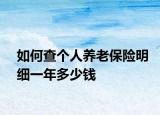 如何查個人養(yǎng)老保險明細一年多少錢