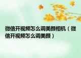 微信開視頻怎么調美顏相機（微信開視頻怎么調美顏）