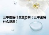 三甲醫(yī)院什么意思啊（三甲醫(yī)院什么意思）