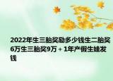 2022年生三胎獎(jiǎng)勵(lì)多少錢生二胎獎(jiǎng)6萬(wàn)生三胎獎(jiǎng)9萬(wàn)＋1年產(chǎn)假生娃發(fā)錢