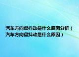 汽車(chē)方向盤(pán)抖動(dòng)是什么原因分析（汽車(chē)方向盤(pán)抖動(dòng)是什么原因）