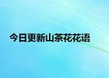 今日更新山茶花花語(yǔ)
