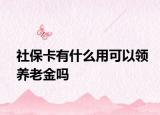 社?？ㄓ惺裁从每梢灶I(lǐng)養(yǎng)老金嗎