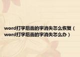 word打字后面的字消失怎么恢復(fù)（word打字后面的字消失怎么辦）