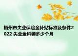 梧州市失業(yè)保險金補貼標準及條件2022 失業(yè)金科領(lǐng)多少個月