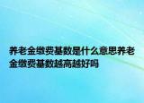 養(yǎng)老金繳費(fèi)基數(shù)是什么意思養(yǎng)老金繳費(fèi)基數(shù)越高越好嗎