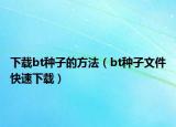 下載bt種子的方法（bt種子文件快速下載）