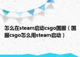 怎么在steam啟動csgo國服（國服csgo怎么用steam啟動）