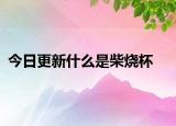 今日更新什么是柴燒杯