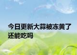 今日更新大蒜被凍黃了還能吃嗎