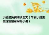 小甜星免費閱讀全文（早安小甜妻 星輝熠熠著網(wǎng)絡(luò)小說）