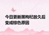 今日更新黑枸杞放久后變成棕色原因