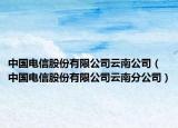 中國(guó)電信股份有限公司云南公司（中國(guó)電信股份有限公司云南分公司）