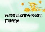 宜昌靈活就業(yè)養(yǎng)老保險(xiǎn)在哪繳費(fèi)
