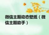 微信主題動態(tài)壁紙（微信主題助手）
