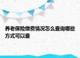 養(yǎng)老保險(xiǎn)繳費(fèi)情況怎么查詢哪些方式可以查