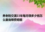 養(yǎng)老險(xiǎn)交滿15年每月領(lǐng)多少錢怎么查詢繳費(fèi)明細(xì)