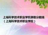 上?？茖W技術職業(yè)學院錄取分數(shù)線（上海科學技術職業(yè)學院）