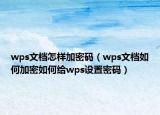 wps文檔怎樣加密碼（wps文檔如何加密如何給wps設(shè)置密碼）