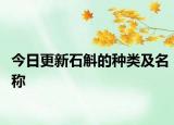 今日更新石斛的種類及名稱