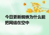 今日更新蜘蛛為什么能把網(wǎng)結(jié)在空中