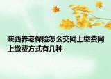 陜西養(yǎng)老保險怎么交網上繳費網上繳費方式有幾種
