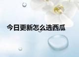 今日更新怎么選西瓜
