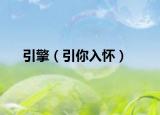引擎（引你入懷）