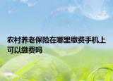 農(nóng)村養(yǎng)老保險(xiǎn)在哪里繳費(fèi)手機(jī)上可以繳費(fèi)嗎