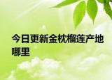 今日更新金枕榴蓮產(chǎn)地哪里