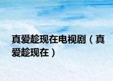 真愛趁現(xiàn)在電視劇（真愛趁現(xiàn)在）
