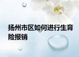 揚(yáng)州市區(qū)如何進(jìn)行生育險(xiǎn)報(bào)銷