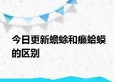 今日更新蟾蜍和癩蛤蟆的區(qū)別