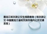 黑龍江哈爾濱公交車線路查詢（哈爾濱公交 中國黑龍江省哈爾濱市境內(nèi)公共交通系統(tǒng)）