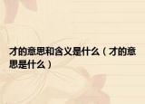 才的意思和含義是什么（才的意思是什么）